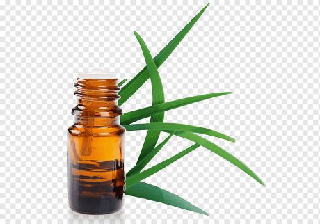 Cymbopogon nardus - Citronella oil