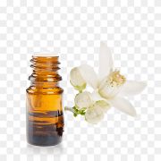 Jasminum grandiflorum - Jasmin oil