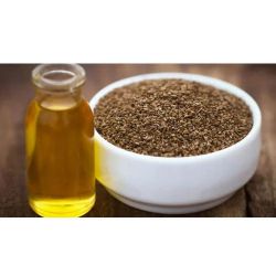 Ajowan Trachyspermum ammi - Ajwain Oil