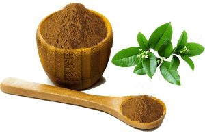 Berberis aristata - Daruhaldi