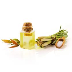 Cymbopogon citratus - Lemon grass oil
