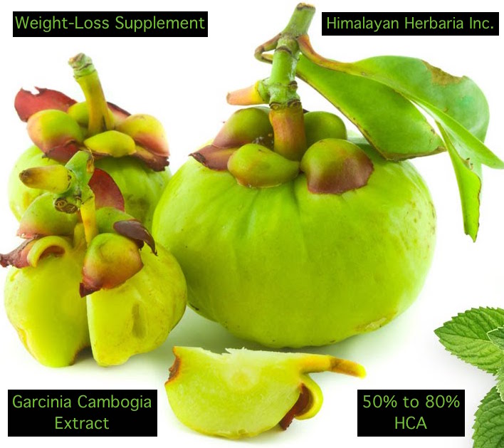 Garcinia cambogia - Vilayati imli - Image 2