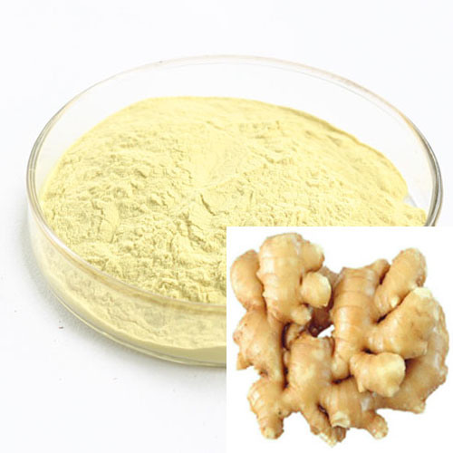 Zingiber officinale - Ginger - Image 4