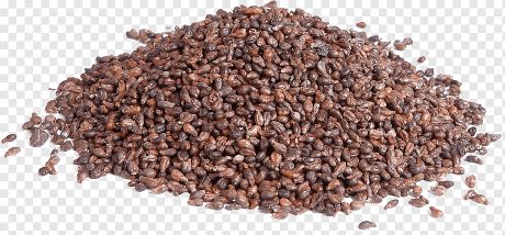 Grapes seeds - Vitis vinifera