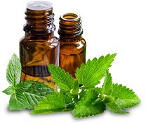 Mentha viridis - Spearmint oil