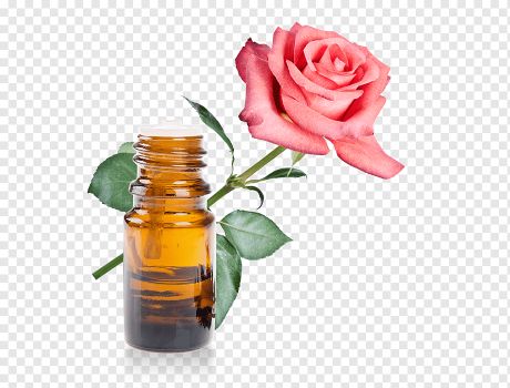 Rosa damascena - Rose oil