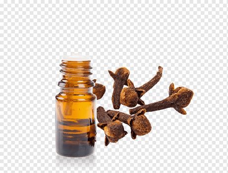 Syzgium aromaticum - Clove oil