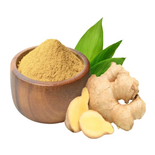 Zingiber officinale - Ginger