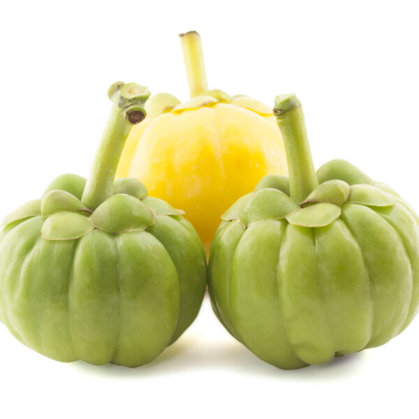 Garcinia cambogia - Vilayati imli
