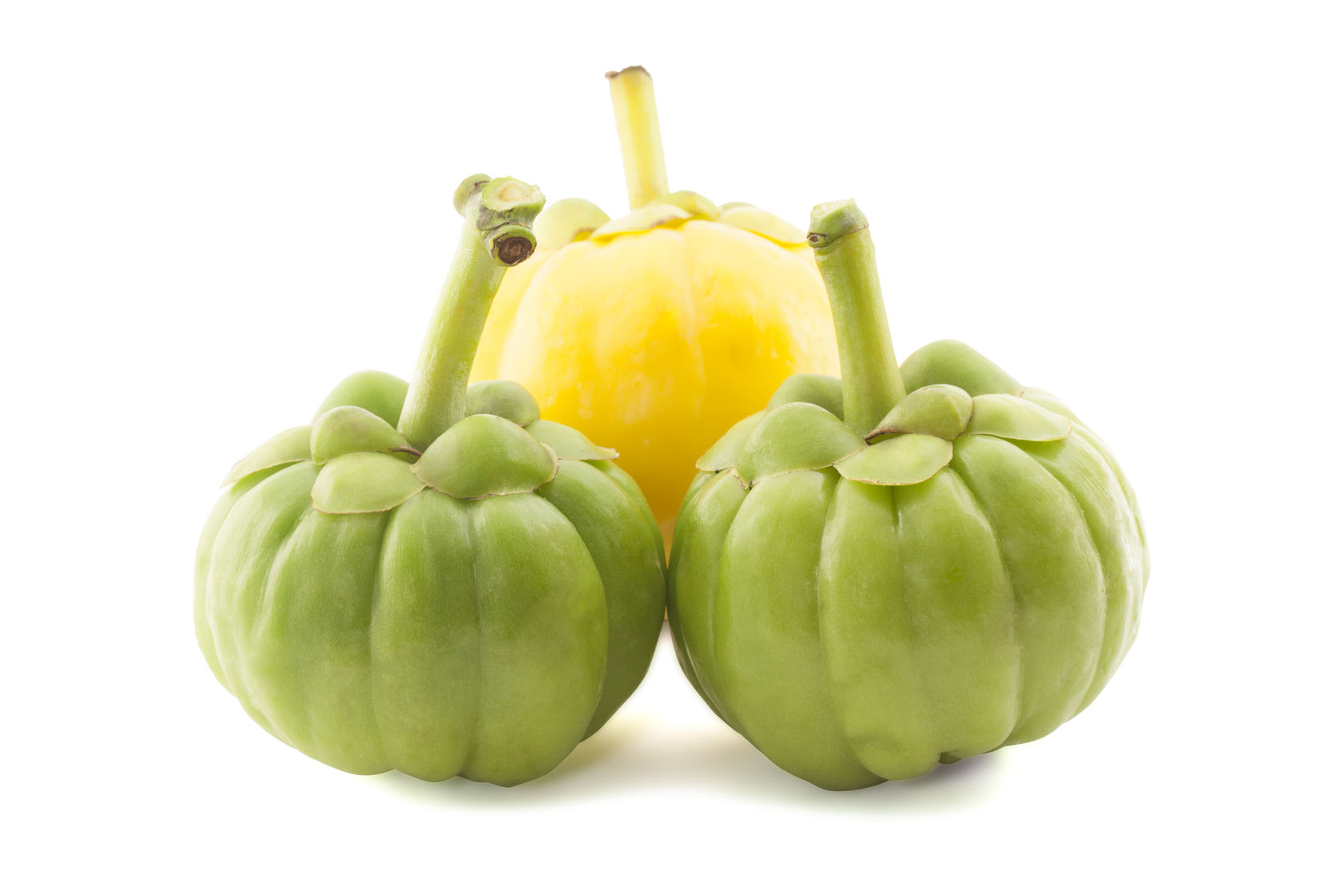 Garcinia cambogia - Vilayati imli