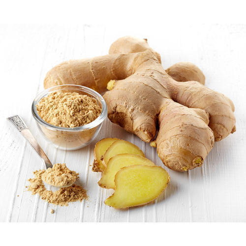 Zingiber officinale - Ginger - Image 3